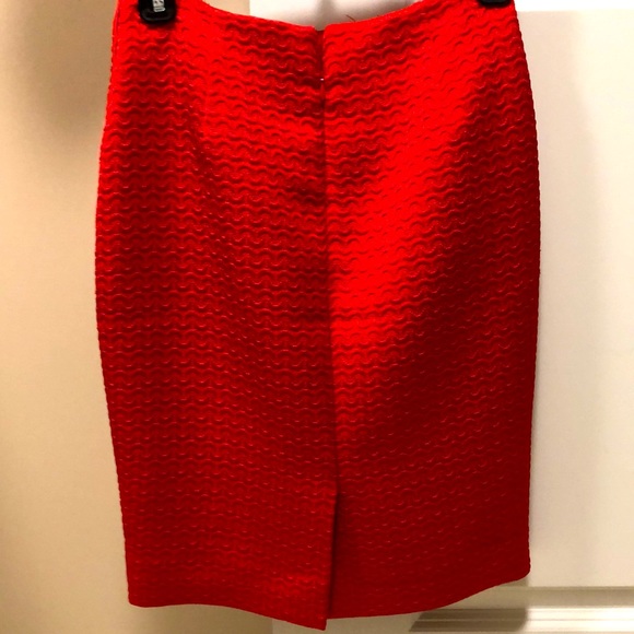 Jacquard Skirt - Picture 3 of 8